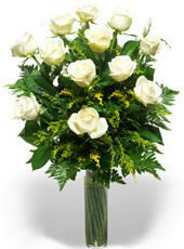 12 White Roses