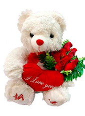 7 Roses and Teddy Bear