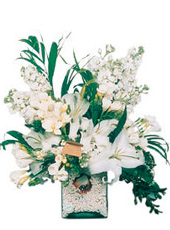 White Arrangement