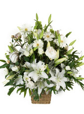 White Arrangement