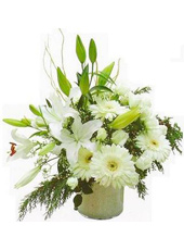 White Arrangement