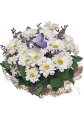 White Bouquet