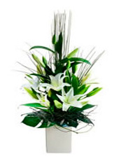 White Casablanca Arrangement