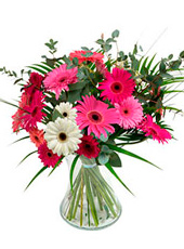 Gerberas in glass vase