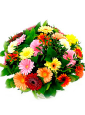 Gerbera Bouquet