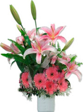 Gerbera and Lilies