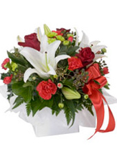 Carnations and lilies Arrangement