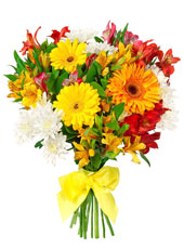 Gerbera Daisy Bouquet