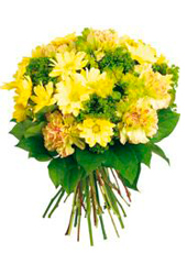 Yellow Chrysanthemum