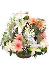 Basket Arrangement